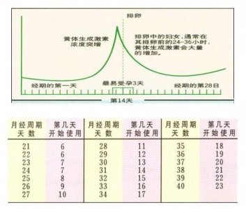 七大助孕技術(shù)之四聯(lián)排卵監(jiān)測(cè)法